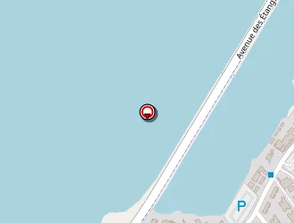 Carte de Wembley Pub à Frontignan