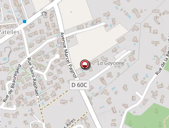 Carte de Belleville Peggy à Cabriès