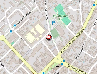 Carte de Transports Zanardo & Logistiques à Frontignan