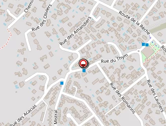 Carte de Massimo Pizzas à Balaruc-les-bains