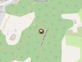 Carte de Vsbp Tribe à Saint-raphaël