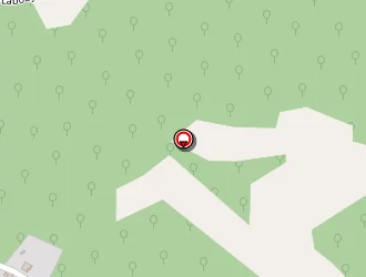 Carte de Rodrigues Rémi à Momas