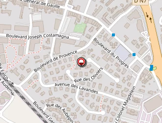 Carte de Protelec 83 à Puget-sur-argens