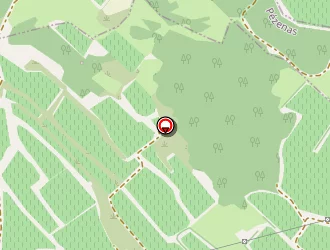 Carte de Vos Cheveux Et Moi à Pézenas