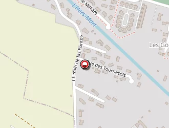 Carte de Geist Jean François à Baziège