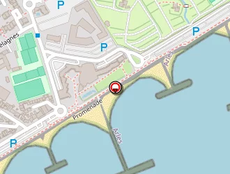 Carte de Guillon Bruno à Saintes-maries-de-la-mer