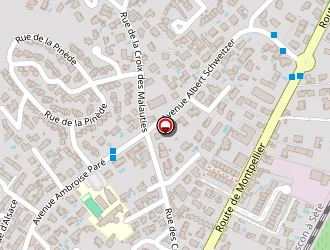 Carte de Balaguer Laetitia à Frontignan