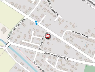 Carte de Letouq Alain à Baziège