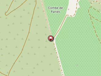 Carte de Di-marzo Marie à Frontignan