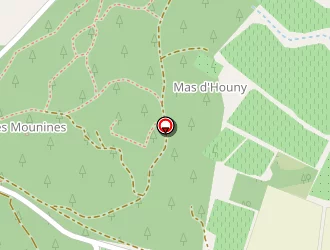 Carte de Dessup Daniel à Montagnac