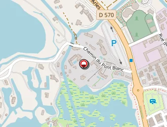 Carte de Soubriard Ronat à Saintes-maries-de-la-mer