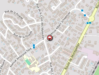 Carte de Es Taxi à Frontignan