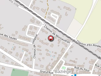 Carte de Daniel Radio Taxi à Baziège