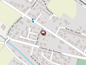 Carte de Pizz'a Lilou à Baziège