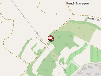 Carte de Marsal Pierrick à Puissalicon