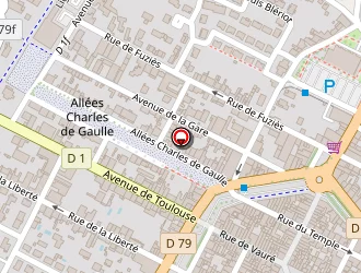 Carte de Martinel Jean à Revel