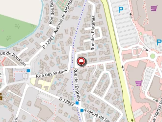 Carte de Nael Auto 34 à Gigean