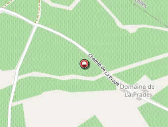 Carte de Pierro Astro à Puissalicon