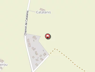 Carte de Piques Jean-marc à Baziège