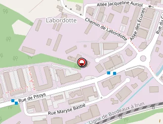 Carte de Renard Peintures à Anglet