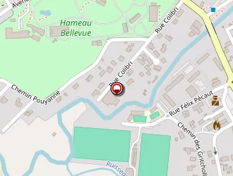 Carte de Totem Pc à Salies-de-béarn