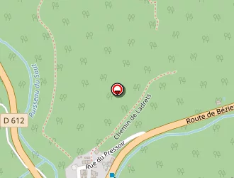 Carte de Richard (ets) à Riols