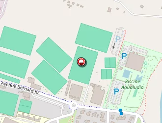 Carte de Comminges Armes à Muret