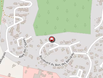 Carte de Bourrasset Daniel à Muy (le)