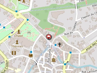 Carte de Idm à Salies-de-béarn