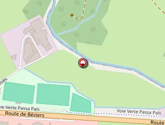 Carte de S N Auto Services Vallée à Saint-amans-soult