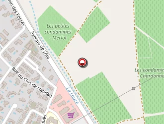 Carte de E.i.e. Consultant à Poussan