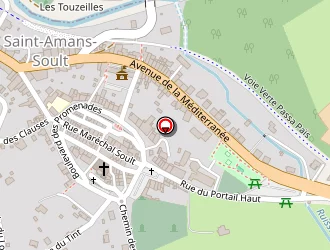 Carte de Trans Optima à Saint-amans-soult