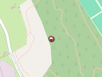 Carte de B.t.p.i à Saint-mitre-les-remparts