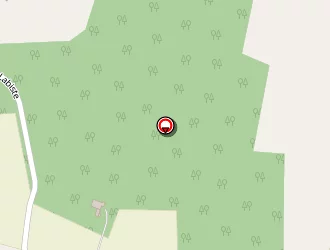 Carte de Verge Philippe à Salies-de-béarn