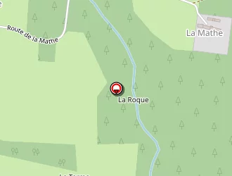 Carte de Loup Rémy à Saint-amans-valtoret