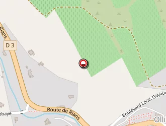 Carte de Foret Cédric à Ollières