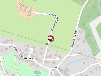 Carte de Course D'orientation à Saint-amans-valtoret