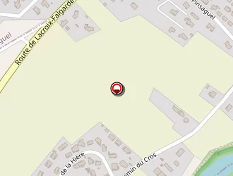 Carte de Granier Diffusion à Pins-justaret