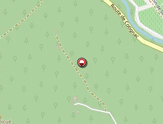 Carte de Pujol Olivier à Carcès