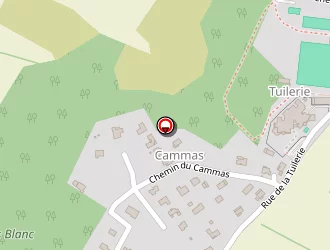 Carte de Germain Jacques à Pompertuzat