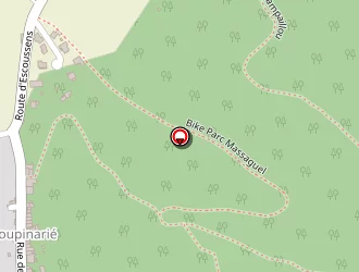 Carte de Saro à Massaguel