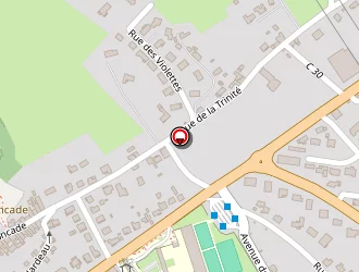 Carte de Cité Scolaire Gaston Fébus à Orthez