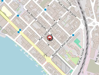 Carte de Le Mandrill (ets) à Bayonne