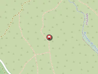 Carte de Zébra Design . à Aix-en-provence