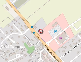 Carte de Manin Vincent à Pompertuzat