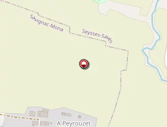 Carte de Penent Guy à Savignac-mona