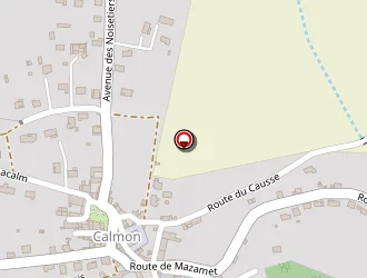 Carte de Taxi Driver à Aiguefonde