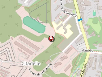 Carte de Milo Shike à Bayonne