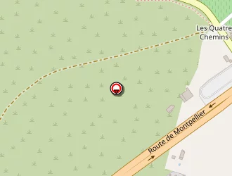 Carte de Thibaut Arnaud à Vic-la-gardiole