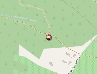 Carte de Martinet Cyrielle à Lorgues